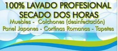 lavado profesional de muebles en envigado